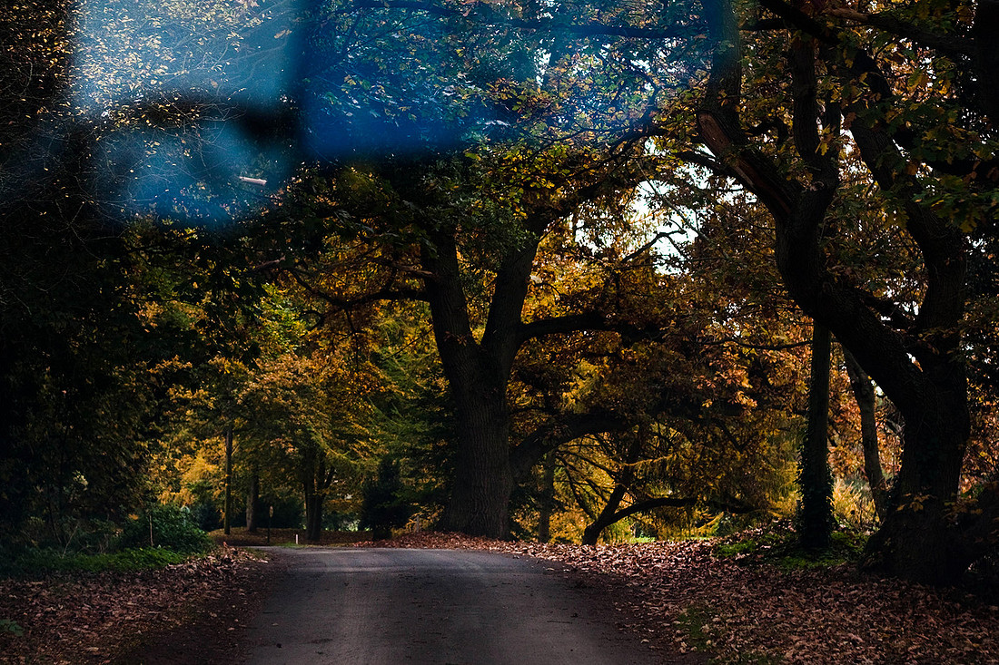 Christina-Clare Photography | Autumn Landscape Bridgnorth