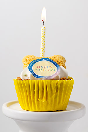 Christina-Clare Photography | UK Food Photographer