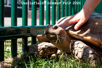 Castlefields Summer Fair