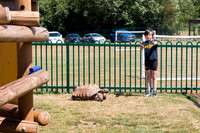 Castlefields Summer Fair