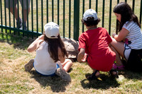 Castlefields Summer Fair