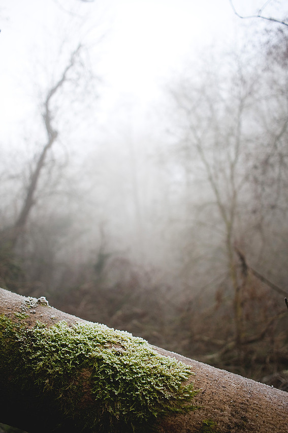 Christina-Clare Photography | Bridgnorth Photographer
