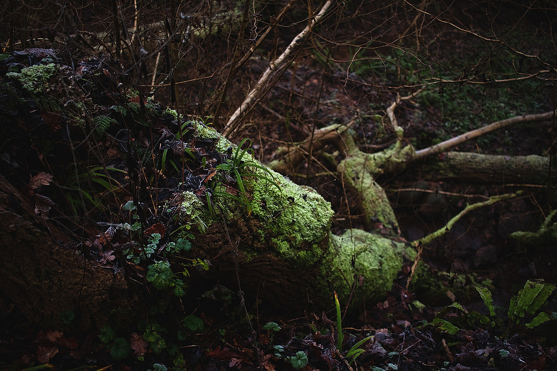 Christina-Clare Photography | Bridgnorth Photographer