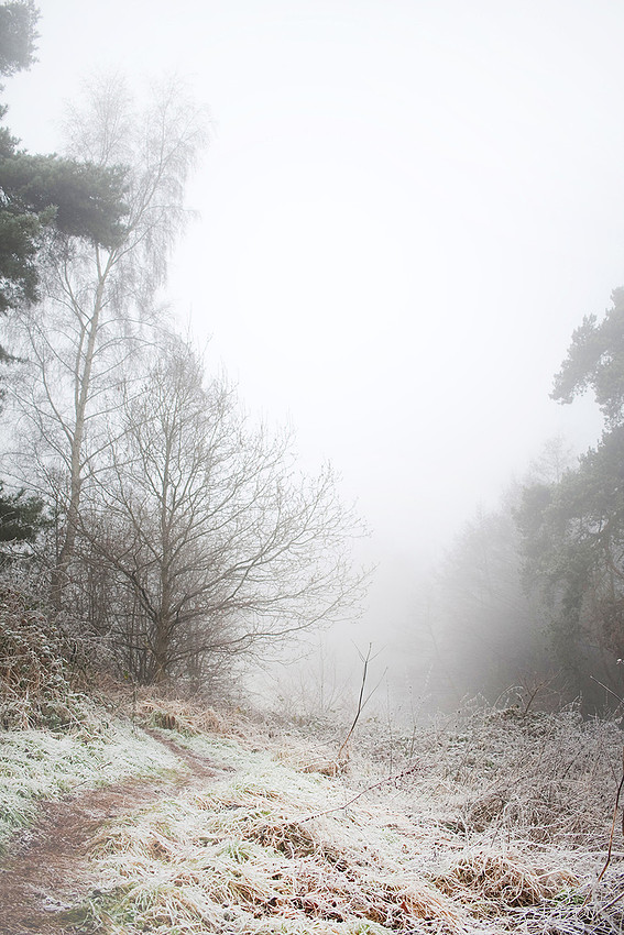Christina-Clare Photography | Bridgnorth Photographer