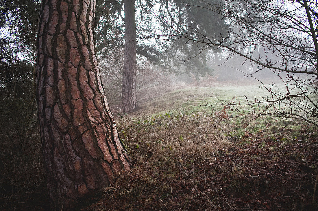 Christina-Clare Photography | Bridgnorth Photographer