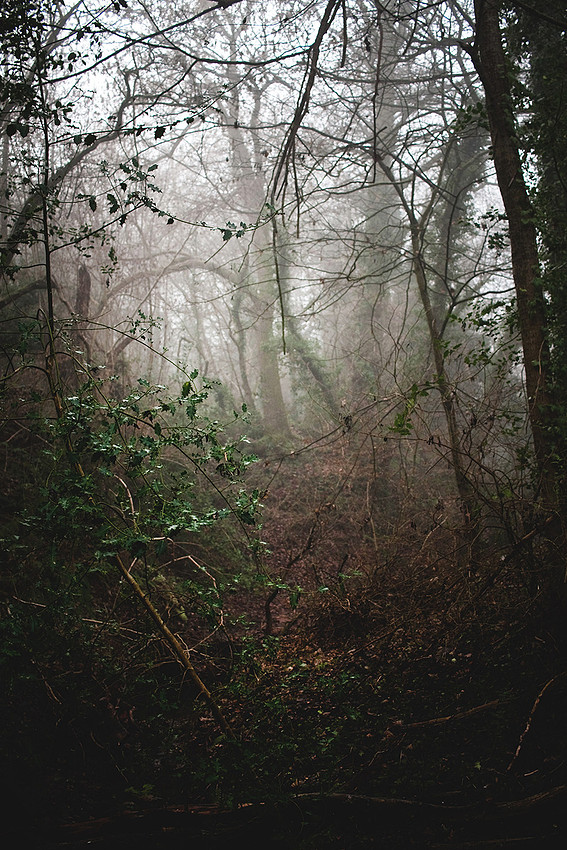 Christina-Clare Photography | Bridgnorth Photographer