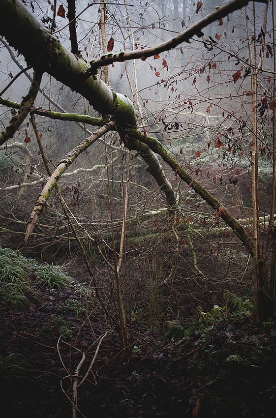Christina-Clare Photography | Bridgnorth Photographer