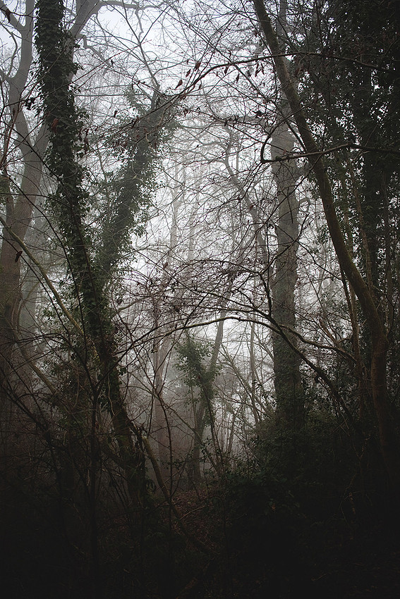 Christina-Clare Photography | Bridgnorth Photographer