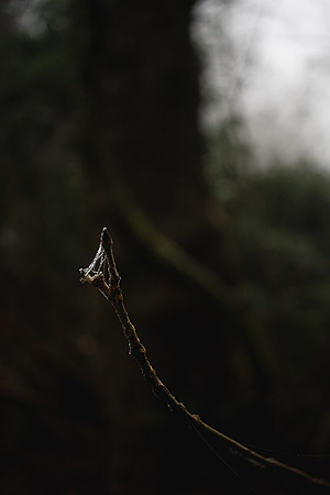 Christina-Clare Photography | Bridgnorth Photographer