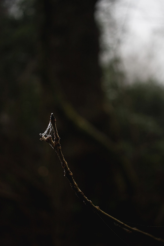 Christina-Clare Photography | Bridgnorth Photographer