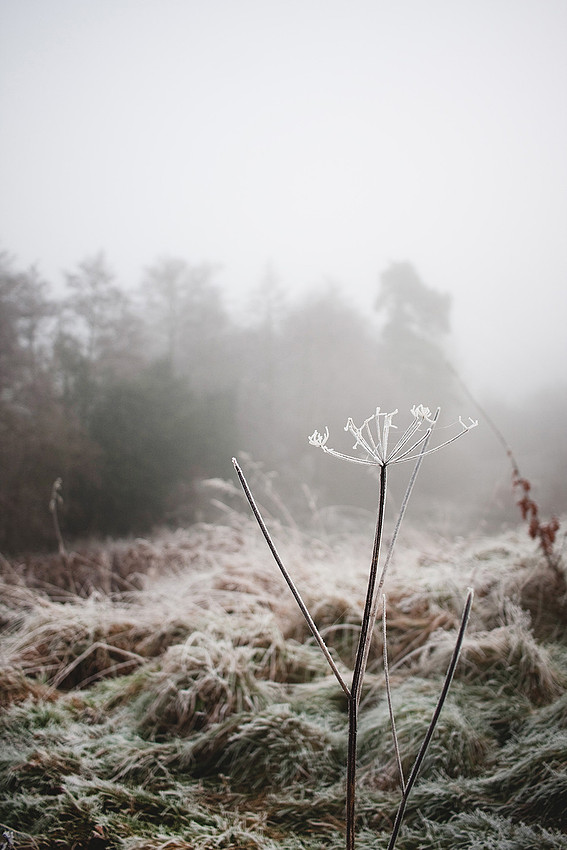 Christina-Clare Photography | Bridgnorth Photographer