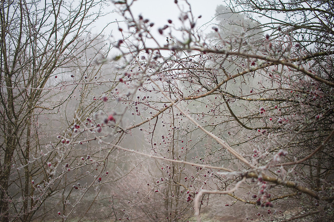 Christina-Clare Photography | Bridgnorth Photographer