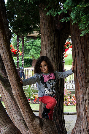 Bridgnorth Castle Garden