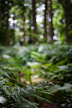 Christina-Clare Photography | Astley Abbotts
