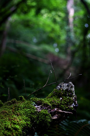 Christina-Clare Photography | Astley Abbotts