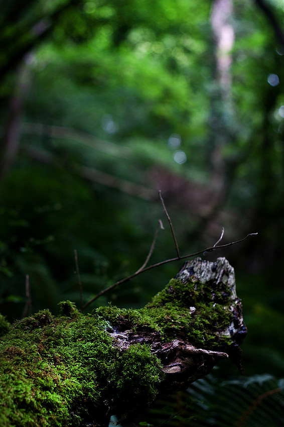 Christina-Clare Photography | Astley Abbotts