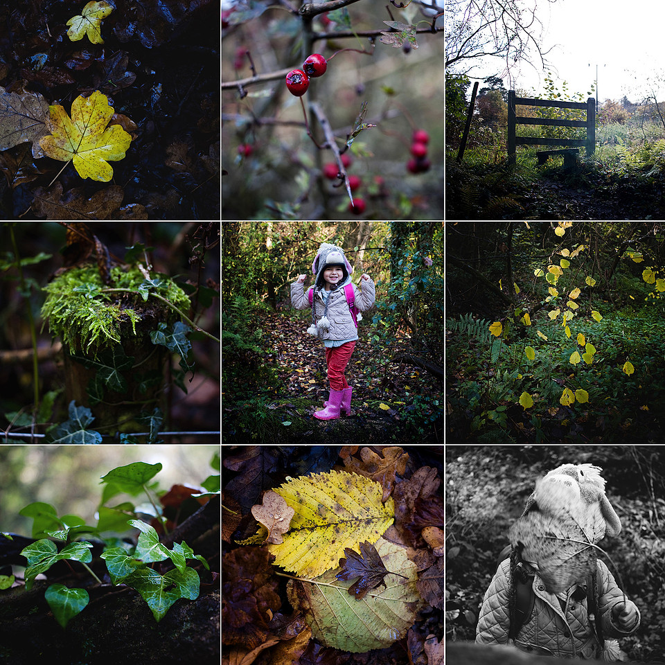 woods blog
