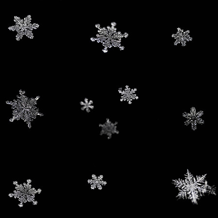 1 monday (blog)