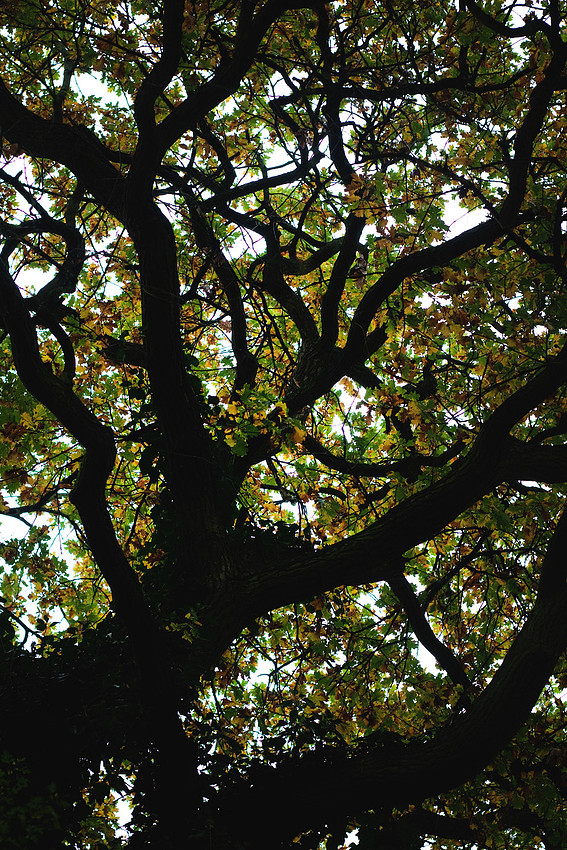 Christina-Clare Photography | Autumn Landscape Bridgnorth