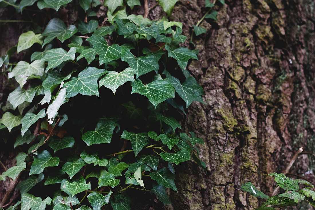 Christina-Clare Photography | Autumn Landscape Bridgnorth