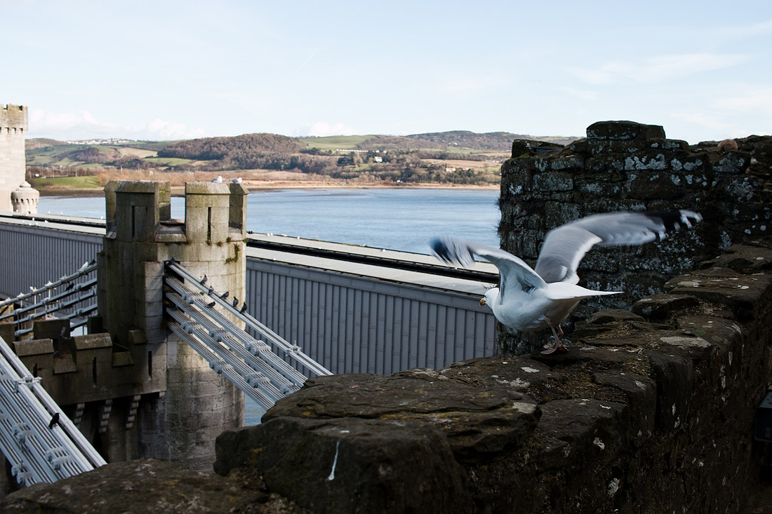 Llandudno Feb 2018 (45)-3