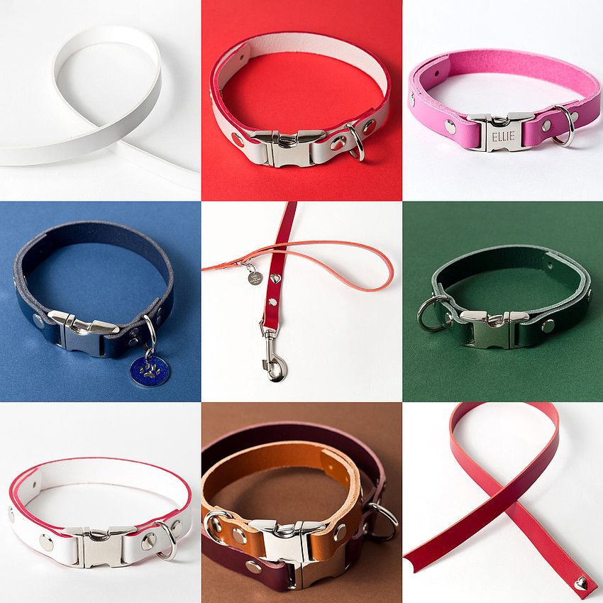 032018 dog and collar blog