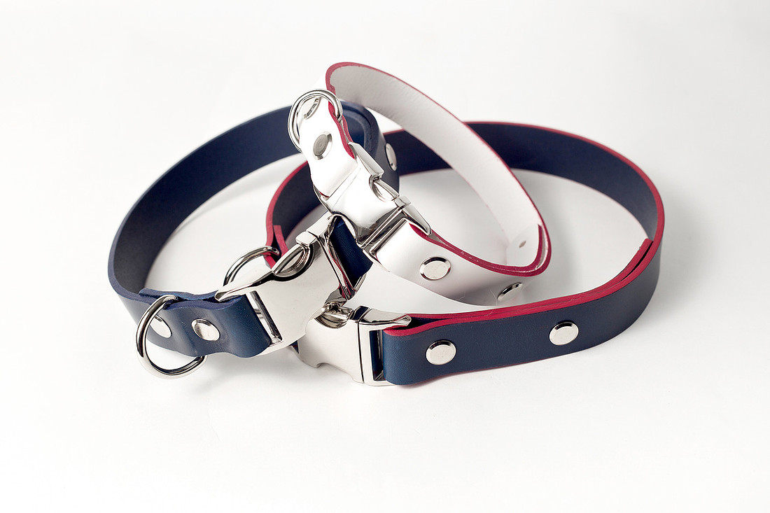 032018 dog and collar blog (2)