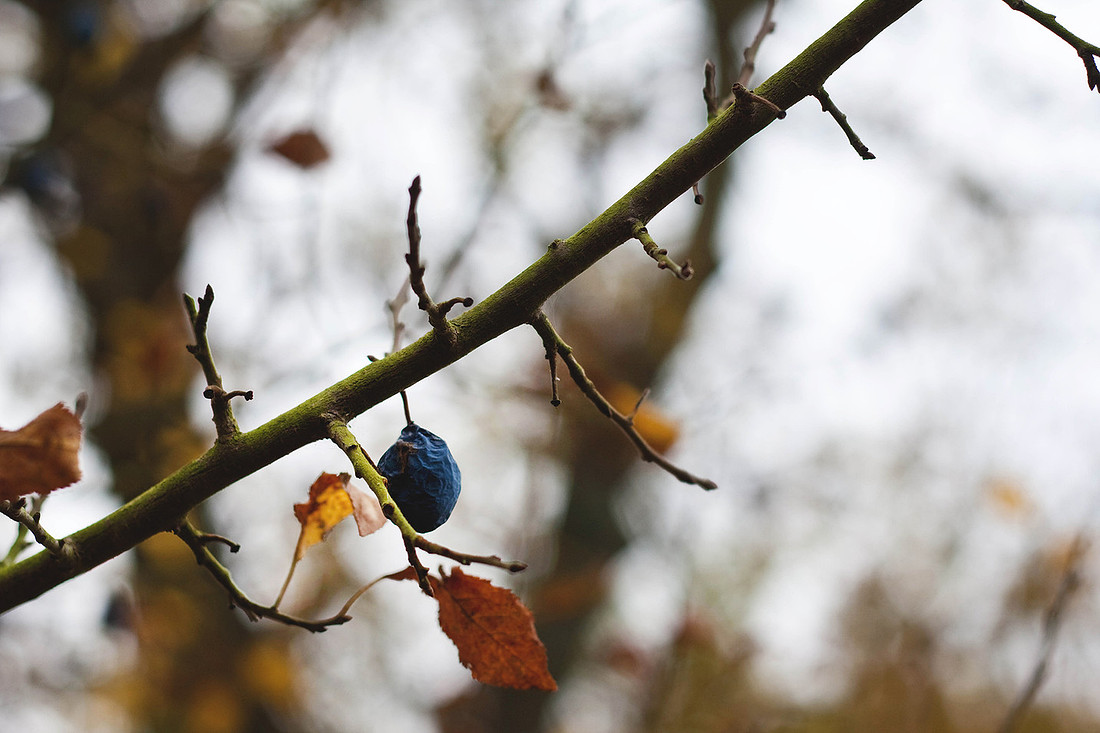 Christina-Clare Photography | Autumn Landscape Bridgnorth