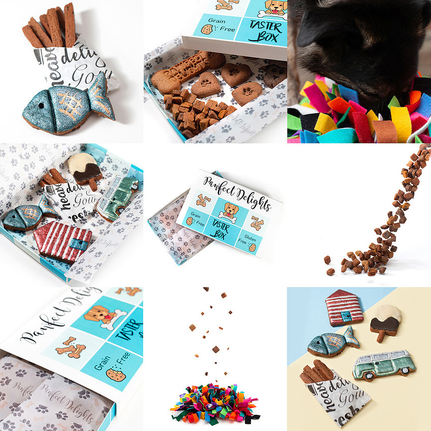 Pawfect Delights 11 SquareCrop grid