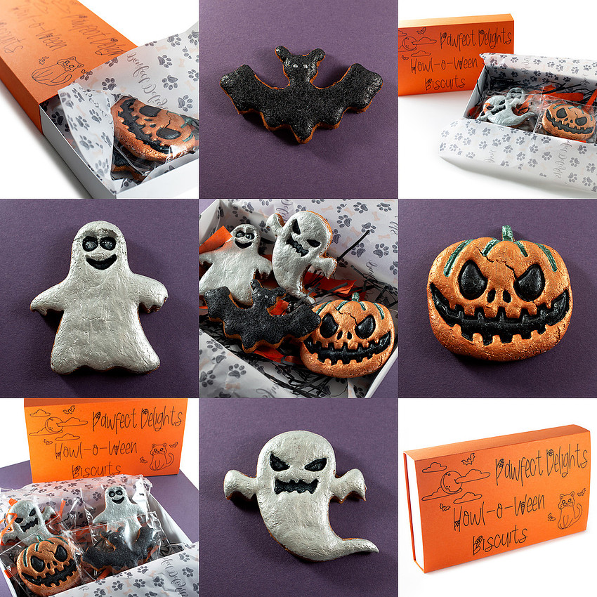 Pawfect Delights 13 blog