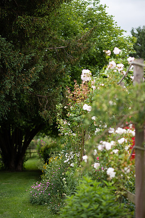 Christina-Clare Photography | Wedding Photography in Shropshire | The Pheasant At Neenton
