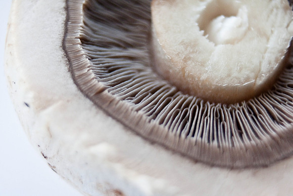 Christina-Clare Photography | UK Food Photographer