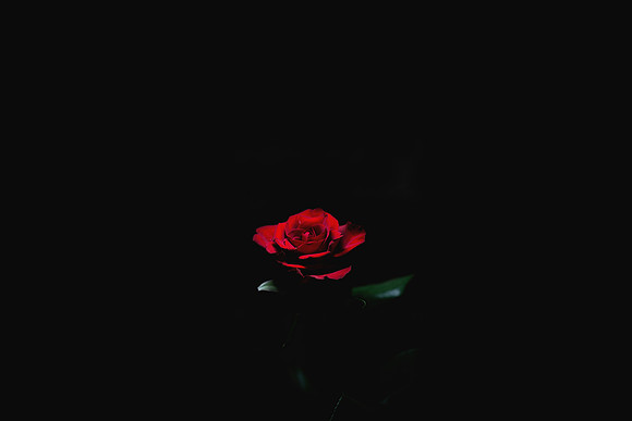 feb 0