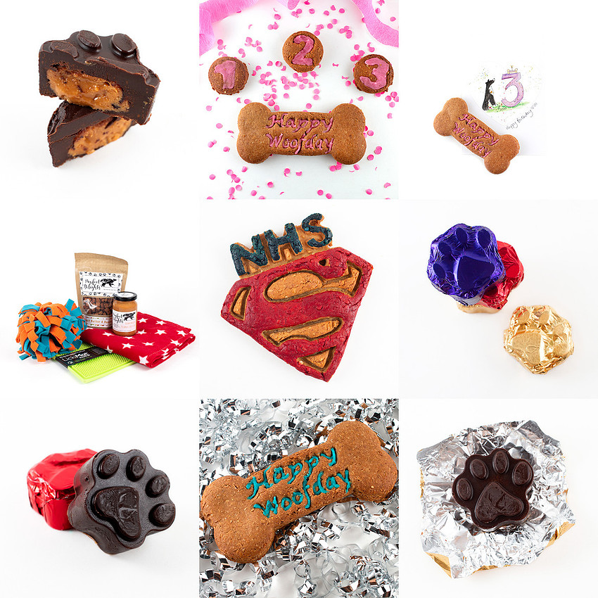 Pawfect 5 Blog