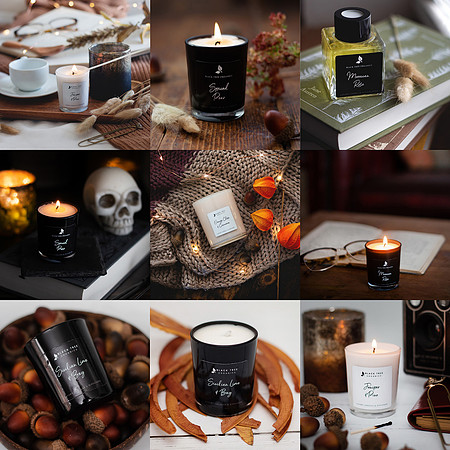 Black Tree Blog Autumn (1)