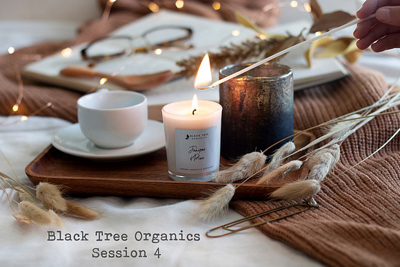 Black Tree Blog Autumn (13)
