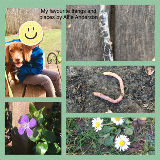 KS2 Favourite Things Alfie A (Y3)
