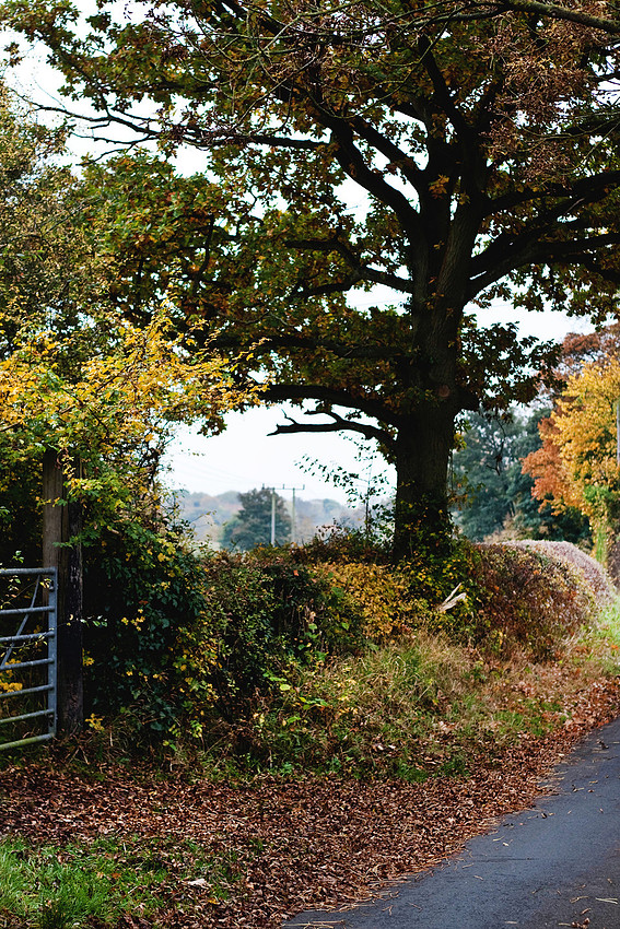 Christina-Clare Photography | Autumn Landscape Bridgnorth