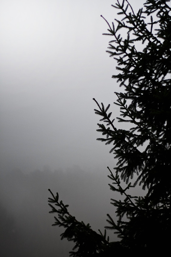 Christina-Clare Photography | Autumn Landscape Bridgnorth