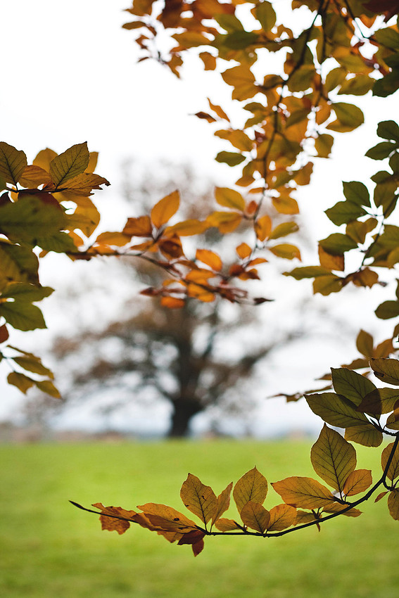 Christina-Clare Photography | Autumn Landscape Bridgnorth