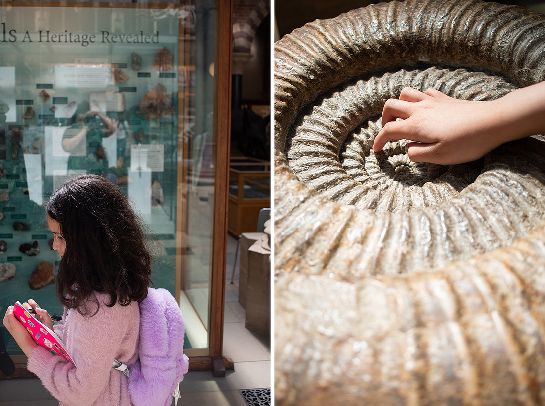 Pitt Rivers - Christinaclarephoto 2022 (3)