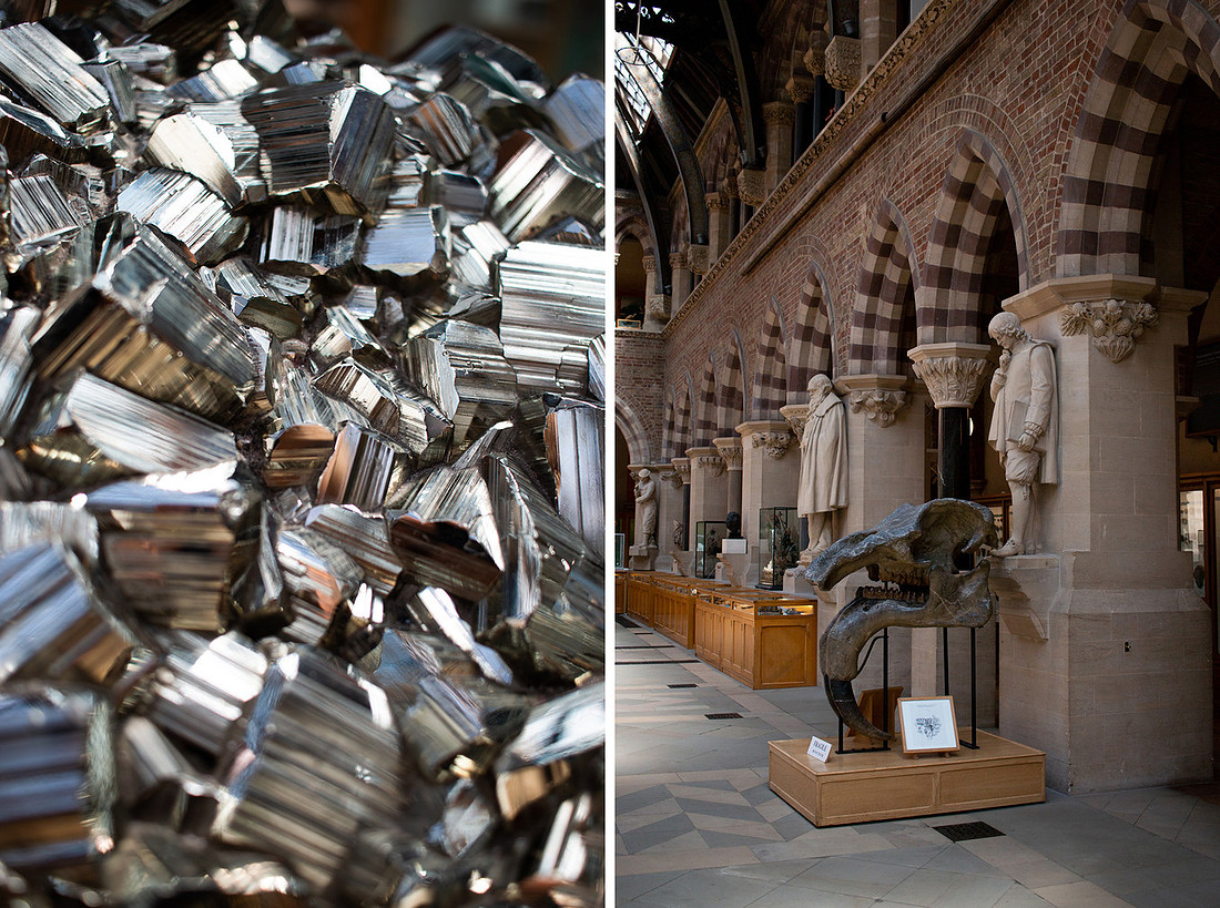 Pitt Rivers - Christinaclarephoto 2022 (2)